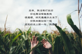 伤感文字生活语录图片